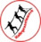 Logo Deutsches Psychotherapeuten Netzwerk (DPNW)