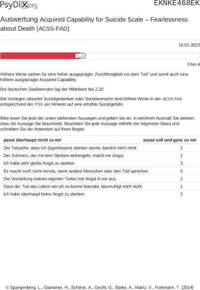 ACSS-FAD-Auswertung PDF Bildschirmfoto