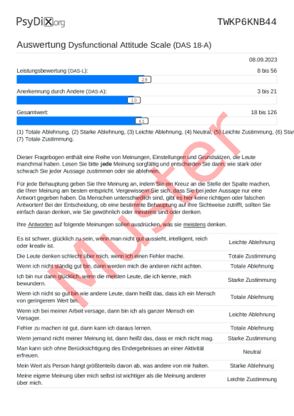 DAS 18-Auswertung PDF Bildschirmfoto