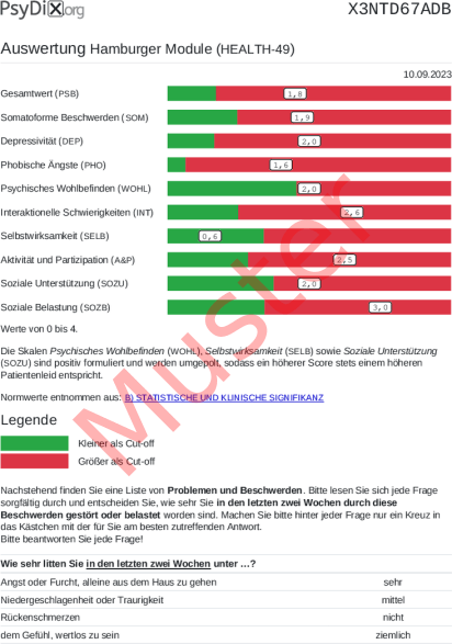 HEALTH-49-Auswertung PDF Bildschirmfoto
