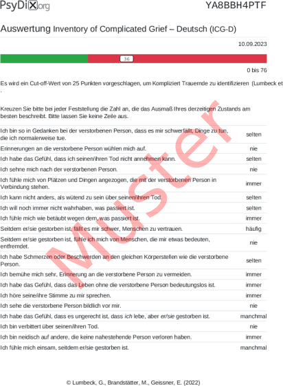 ICG-D-Auswertung PDF Bildschirmfoto