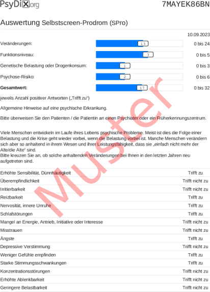 SPro-Auswertung PDF Bildschirmfoto