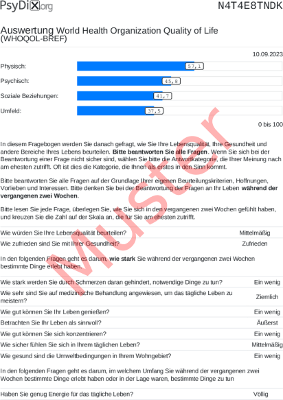 WHOQOL-BREF-Auswertung PDF Bildschirmfoto