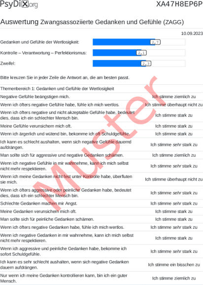 ZAGG-Auswertung PDF Bildschirmfoto